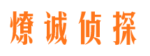 秦淮市私家侦探